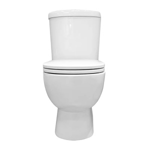 Напольный унитаз Sanita Luxe Art Comfort, белый