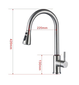 Смеситель для кухонной мойки Esko TST 519