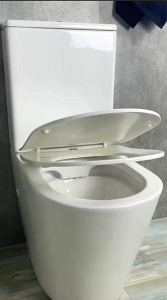 Напольный унитаз Gid Tr2179 с сиденьем Soft Close, белый