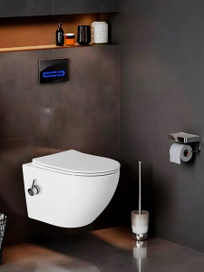 Подвесной унитаз Amore di Mare Delio Bidet P203-X с функцией биде