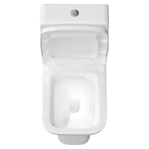 Напольный унитаз Triton-Pro Astro AO-2355, белый