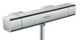 Смеситель для душа Hansgrohe Ecostat E 15773000