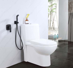 Смеситель встраиваемый Lemark Ursus LM7219BL с гигиеническим душем