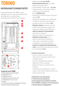 Газовый котел FERROLI TORINO 25