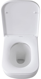 Подвесной унитаз Allen Brau Infinity 4.21004.20, белый