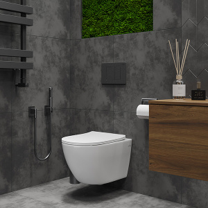 Подвесной унитаз Roxen Antares Bidet 530185-01X Rimless Soft Close с функцией биде