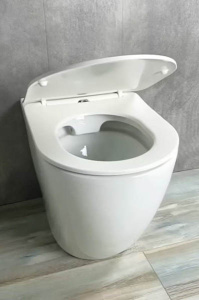 Приставной унитаз Gid TRS-269 с сиденьем Soft Close