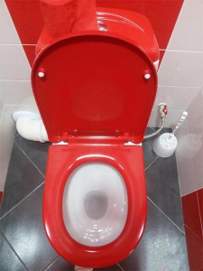 Напольный унитаз Sanita Best Color Red SL DM (с крышкой SoftClose), белый