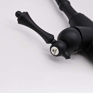 Смеситель для кухонной мойки Ganzer GZ77021-C