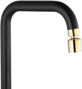 Смеситель для кухонной мойки Rea Polo Black Gold REA-B9980