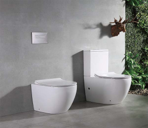Напольный унитаз CeramaLux 2176 (с крышкой SoftClose), белый