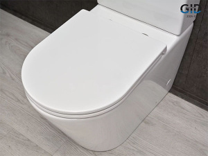 Напольный унитаз Gid Tn2189 с сиденьем Soft Close, белый