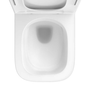 Подвесной унитаз Wellsee Graceful Pro RimFree 182601001