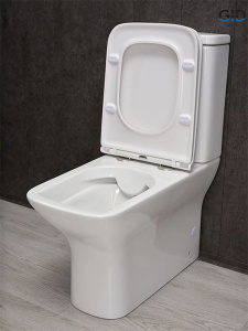 Напольный унитаз Gid Tn2125 с сиденьем Soft Close, белый