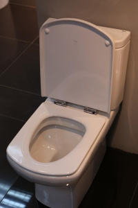Напольный унитаз Roca Dama Senso Compacto, белый