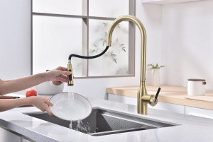 Смеситель для кухонной мойки Paulmark Universal Un213880-SBG с подключением к фильтру воды