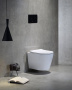 Подвесной унитаз SantiLine SL-5025