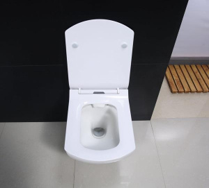 Подвесной унитаз BelBagno Carina безободковый, белый