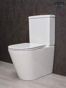 Напольный унитаз Gid Tn2189 с сиденьем Soft Close, белый