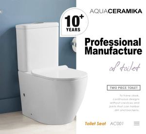 Напольный унитаз Aquaceramika Pura AC001, белый