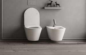 Подвесной унитаз Sanovit Lucco Avva Rim Art