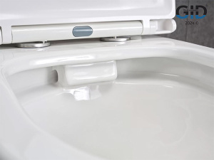 Напольный унитаз Gid Tn2123 с сиденьем Soft Close, белый