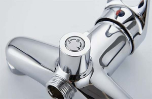 Смеситель для ванны Ledeme H04 L2204