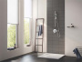 Смеситель встраиваемый Grohe Lineare 24063001 / 24063DC1 (1 функция)