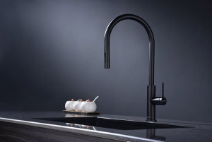 Смеситель для кухонной мойки Paulmark Senso Se215180-AN