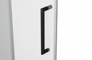 Душевая дверь Bravat Blackline BD120.4101B
