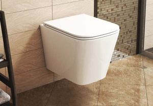 Подвесной унитаз OWL Vatter Ruta-H mini TOWLT190403S с крышкой SoftClose, белый