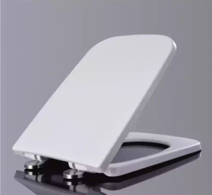 Подвесной унитаз BelBagno Romano BB248CHR безободковый, белый