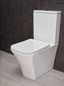 Напольный унитаз Gid Tn2184 с сиденьем Soft Close, белый