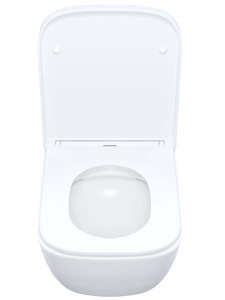 Подвесной унитаз Iddis Torr TORRDSEi25 безободковый