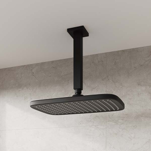Верхний душ Iddis Esper ESP25BSi64