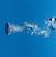 Гидромассажная ванна Triton Дина стандарт Flat, 170х75