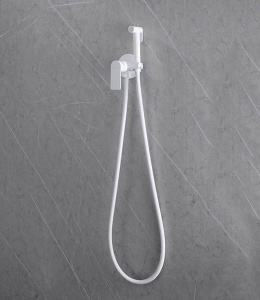 Смеситель встраиваемый Abber Weiss Insel AF8025W с гигиеническим душем