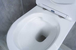 Подвесной унитаз Gid Ws2198 с сиденьем Soft Close