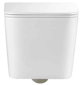 Подвесной унитаз Gid Tr2155 с сиденьем Soft Close
