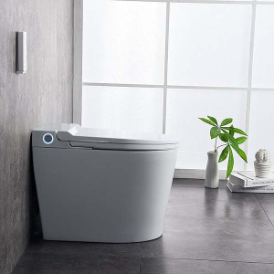 Умный приставной унитаз Brunnen WAL BW-2402 Auto open/close с функцией биде