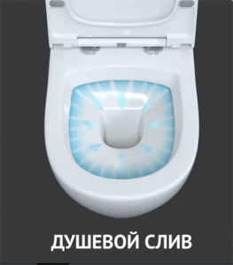 Подвесной унитаз Berges Geo Okus 082127 с крышкой Soft Close