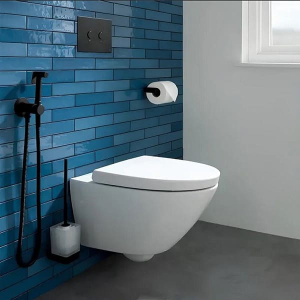 Смеситель встраиваемый Boch Mann Braies B BM10409 с гигиеническим душем