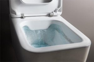 Подвесной унитаз Laufen Pro S Rimless 8.2096.2.000.000.1 безободковый, белый
